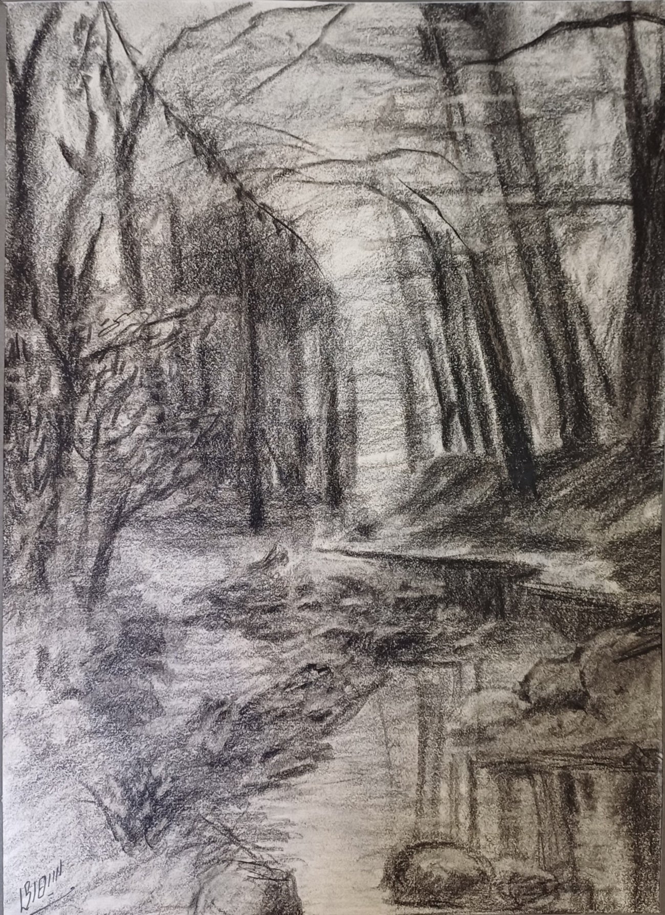The Forest