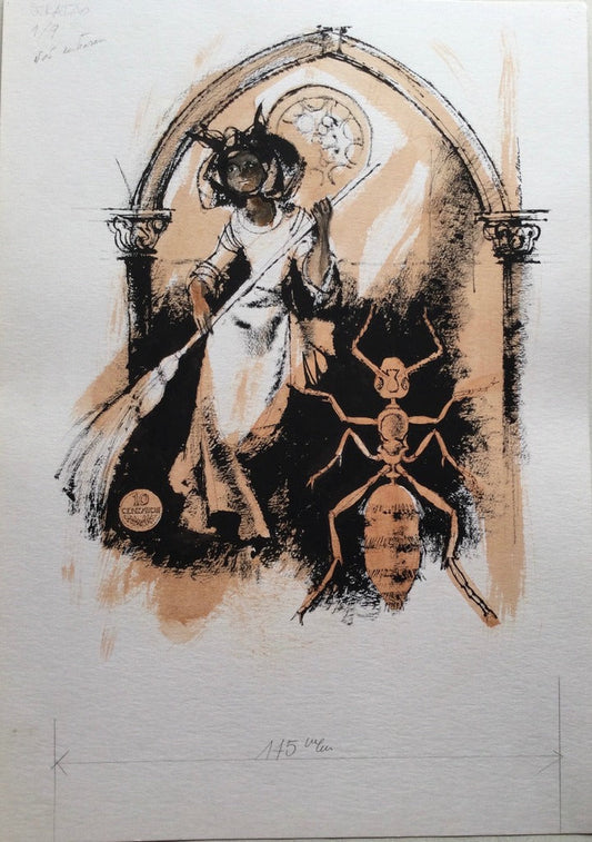 Mulher A Varrer C/ Aranha