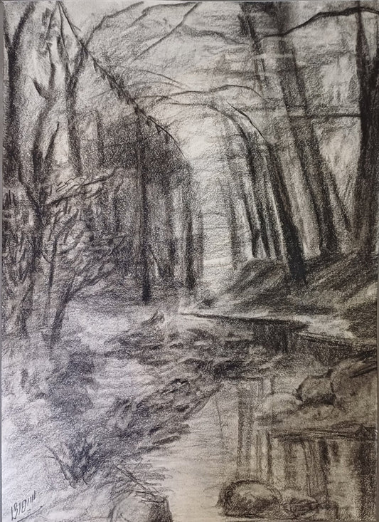 The Forest