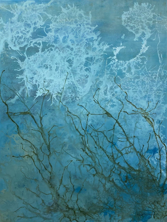Submerged Reflections